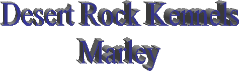 Desert Rock Kennels
Go-Pet